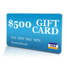 $500 Visa Gift Card – Chabad Burbank Auction